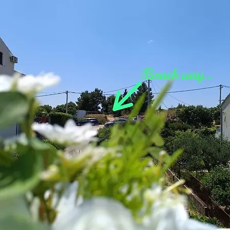 Apartment Triva 1 Split